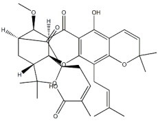 中藥標(biāo)準(zhǔn)品