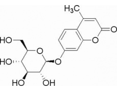 碳水化合物類(lèi)