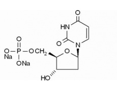 植物激素及核酸類(lèi)