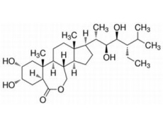 植物激素及核酸類(lèi)
