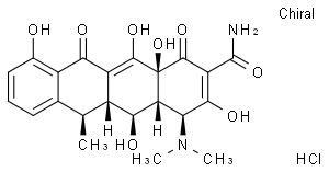 抗體素類(lèi)