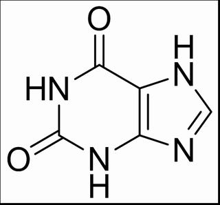 植物激素及核酸類(lèi)