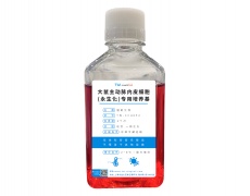 永生化細胞專用培養(yǎng)基