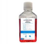 永生化細胞專用培養(yǎng)基