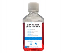 永生化細胞專用培養(yǎng)基