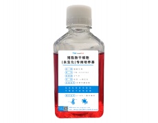 永生化細胞專用培養(yǎng)基