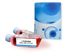 細胞系專用培養(yǎng)基