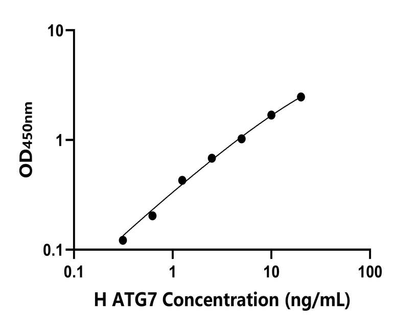 人(ATG7)檢測(cè)試劑盒